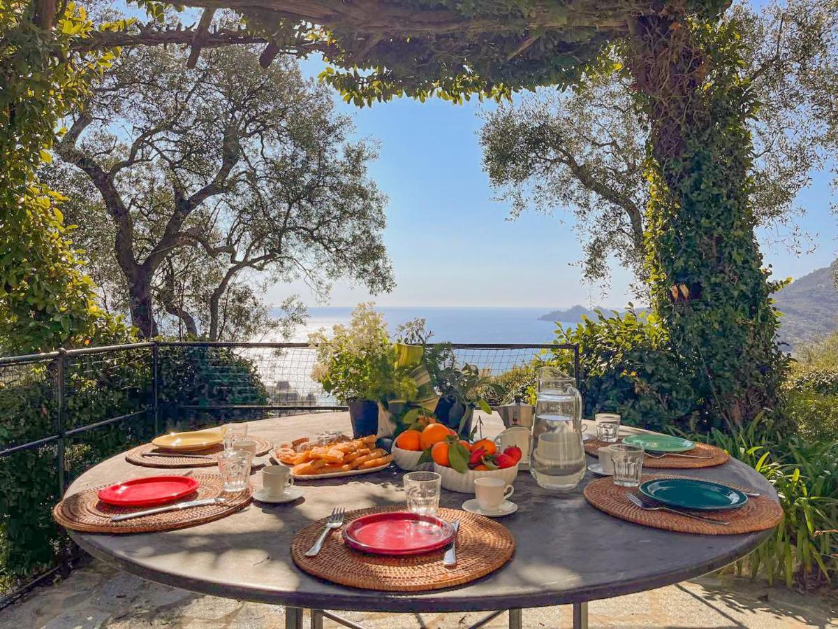 L'Uliveto Di Santa Con Piscina Villa Santa Margherita Ligure Dış mekan fotoğraf