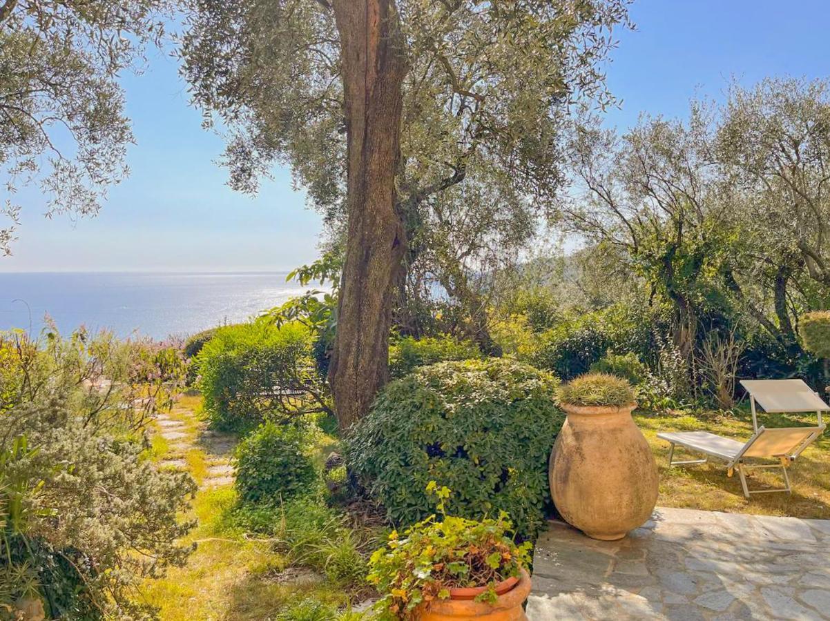 L'Uliveto Di Santa Con Piscina Villa Santa Margherita Ligure Dış mekan fotoğraf